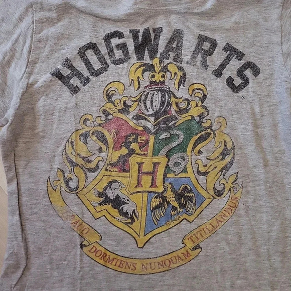 🛍Harry Potter Hogwarts Draco Dormiens Nunquam Titillandus Crest Womens Tee L‎ - Picture 3 of 5